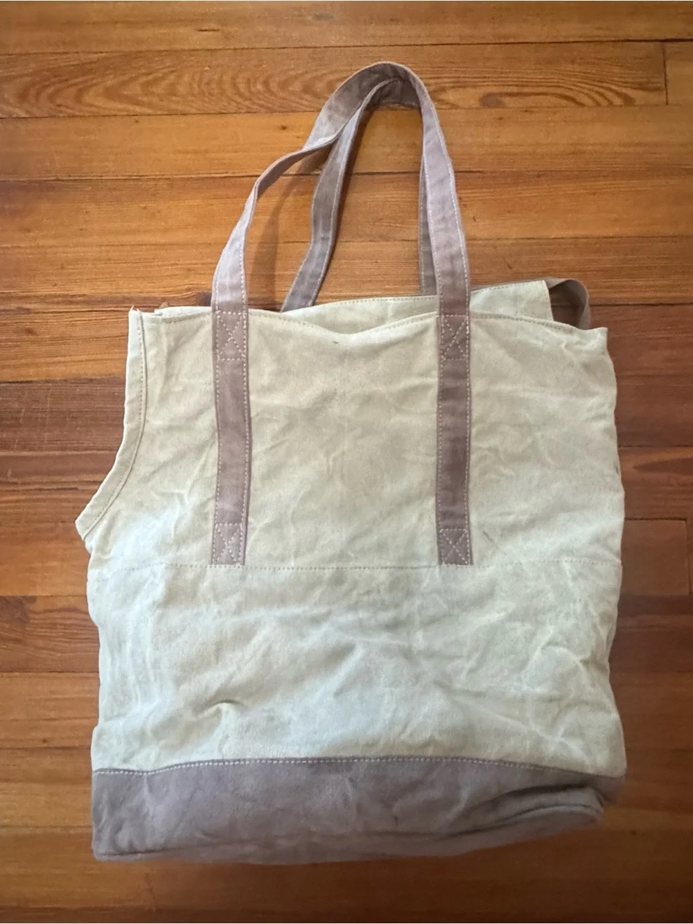 Pet Carrier Canvas Tote Bag with 'I'M THE BOSS HERE' Print - Beige/Brown